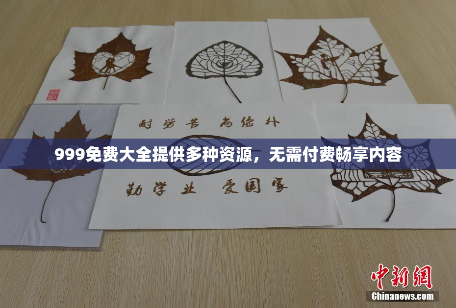 999免费大全提供多种资源，无需付费畅享内容