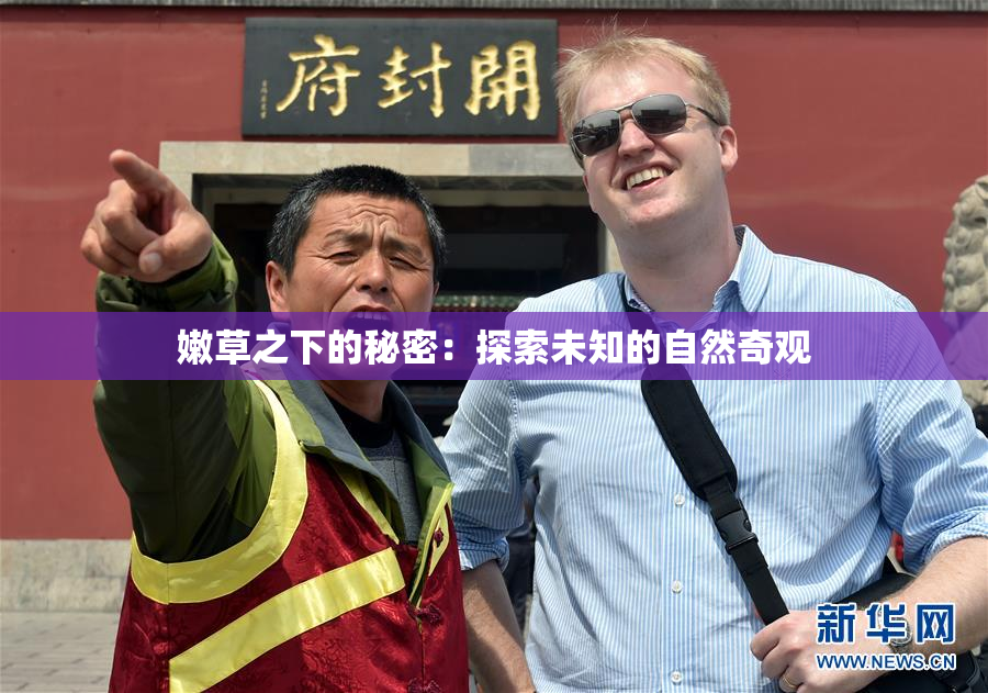 嫩草之下的秘密：探索未知的自然奇观
