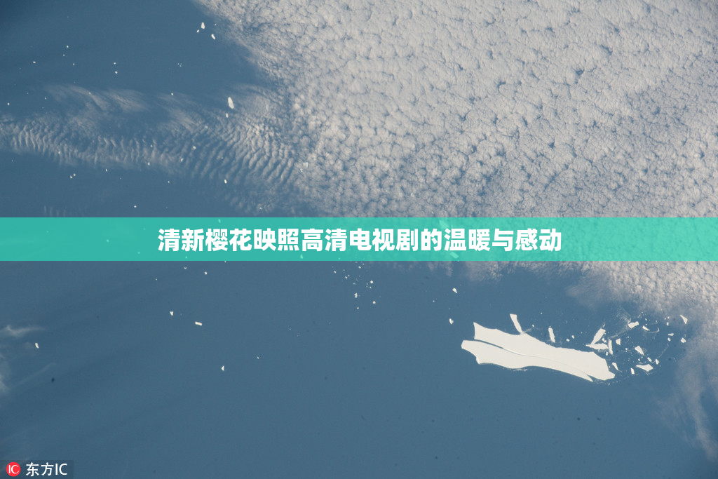 清新樱花映照高清电视剧的温暖与感动
