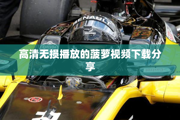 高清无损播放的菠萝视频下载分享