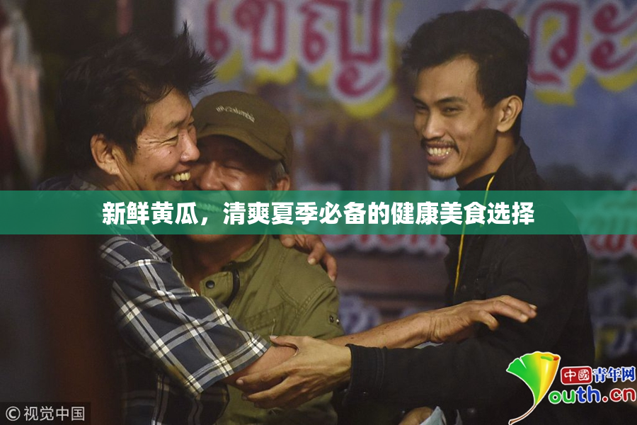 新鲜黄瓜，清爽夏季必备的健康美食选择