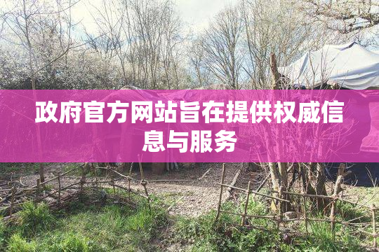 政府官方网站旨在提供权威信息与服务