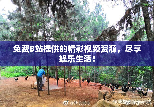 免费B站提供的精彩视频资源，尽享娱乐生活！