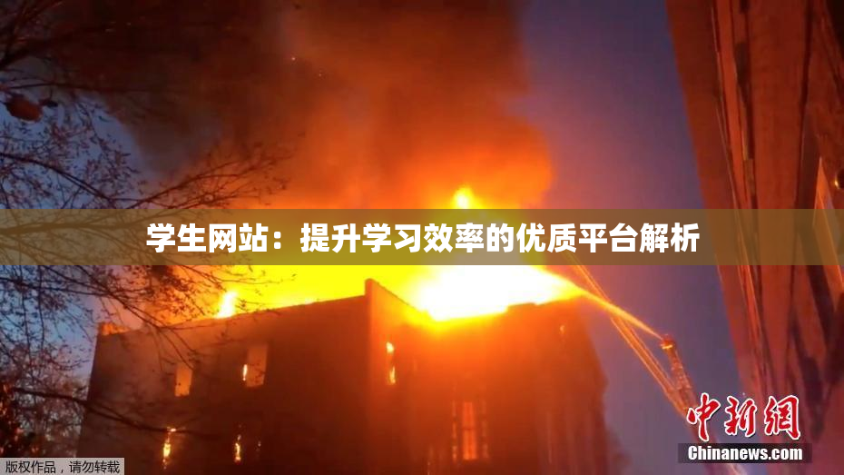 学生网站：提升学习效率的优质平台解析