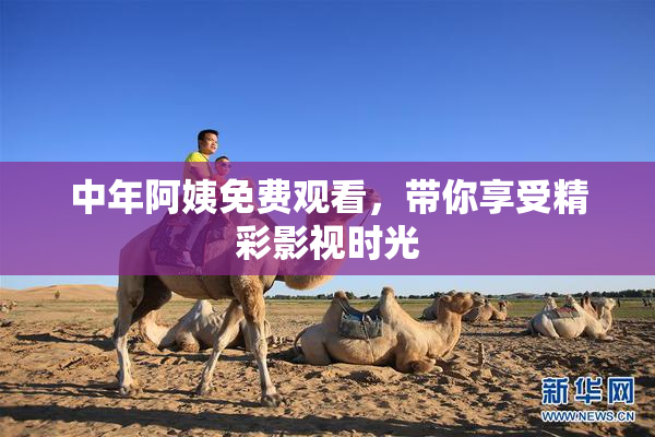 中年阿姨免费观看，带你享受精彩影视时光