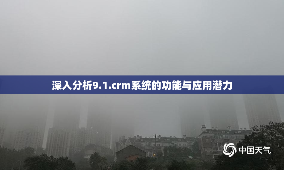 深入分析9.1.crm系统的功能与应用潜力