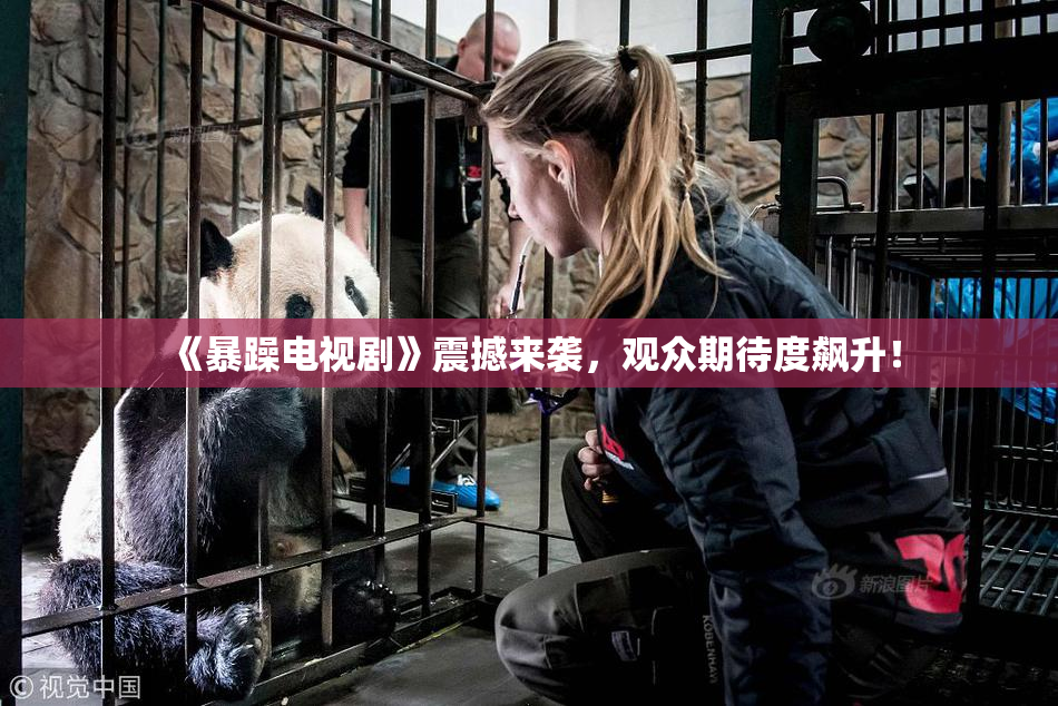 《暴躁电视剧》震撼来袭，观众期待度飙升！