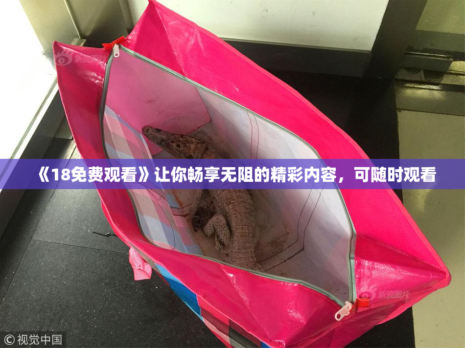《18免费观看》让你畅享无阻的精彩内容，可随时观看