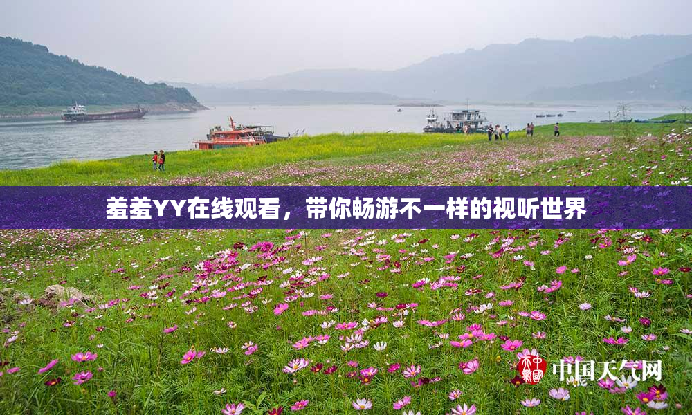 羞羞YY在线观看，带你畅游不一样的视听世界