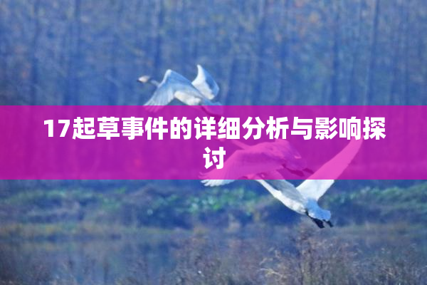 17起草事件的详细分析与影响探讨