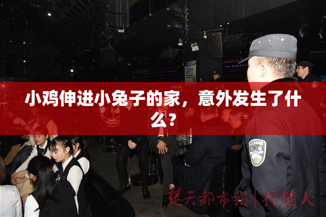 小鸡伸进小兔子的家，意外发生了什么？