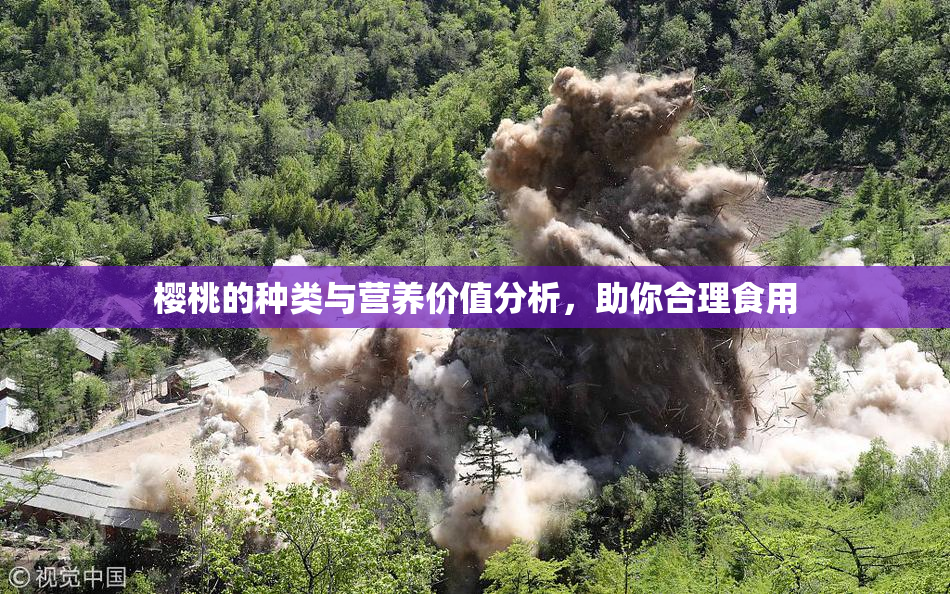 樱桃的种类与营养价值分析，助你合理食用