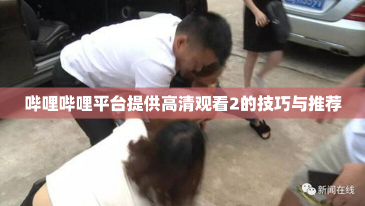 哔哩哔哩平台提供高清观看2的技巧与推荐