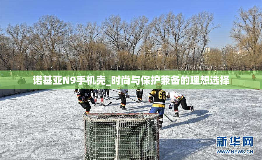 诺基亚N9手机壳_时尚与保护兼备的理想选择