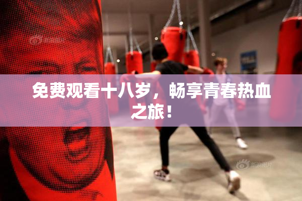 免费观看十八岁，畅享青春热血之旅！