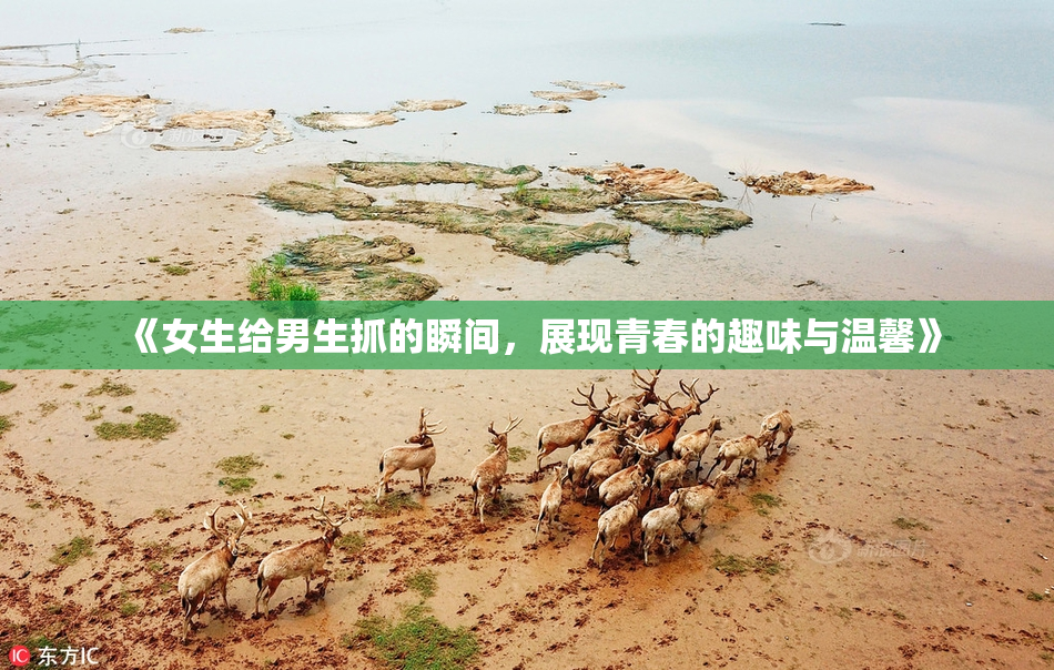 《女生给男生抓的瞬间，展现青春的趣味与温馨》