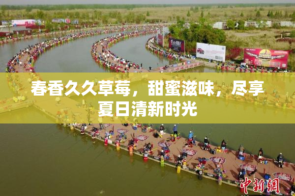春香久久草莓，甜蜜滋味，尽享夏日清新时光