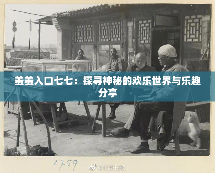 羞羞入口七七：探寻神秘的欢乐世界与乐趣分享