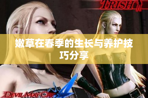 嫩草在春季的生长与养护技巧分享