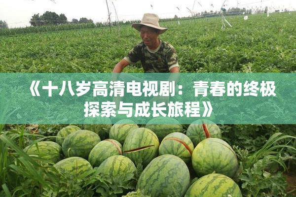《十八岁高清电视剧：青春的终极探索与成长旅程》