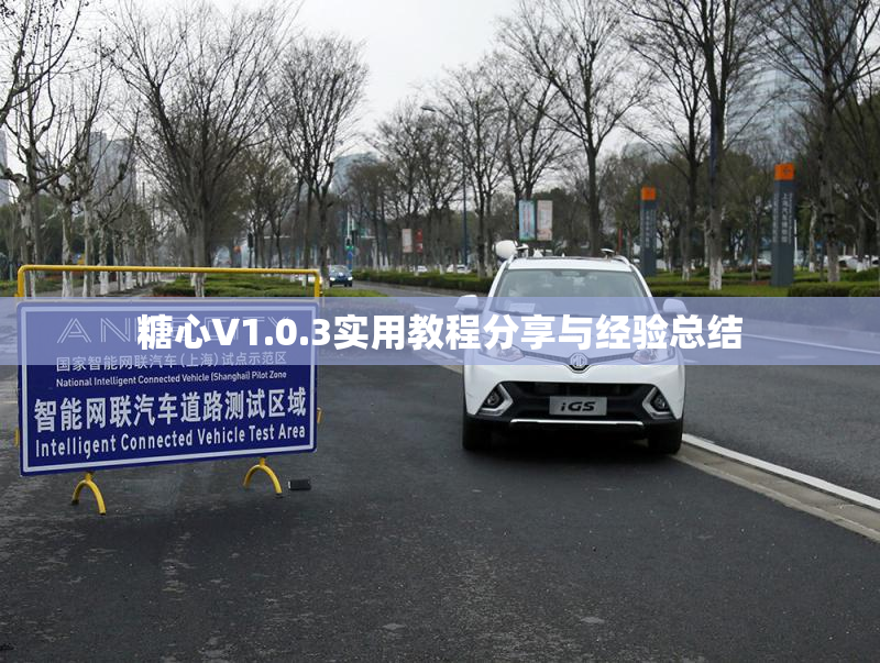 糖心V1.0.3实用教程分享与经验总结