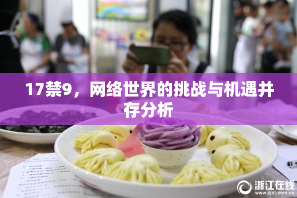 17禁9，网络世界的挑战与机遇并存分析