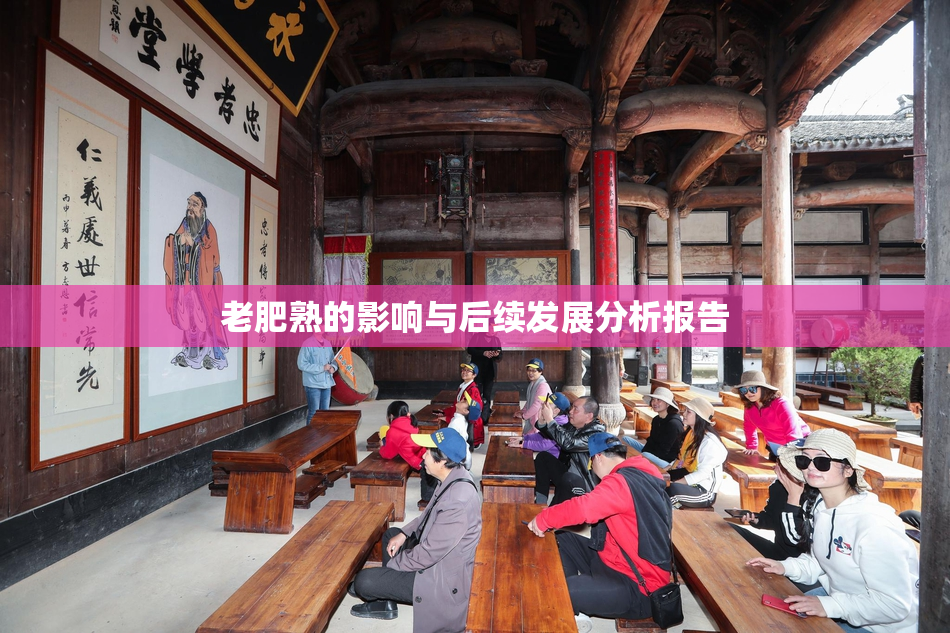 老肥熟的影响与后续发展分析报告