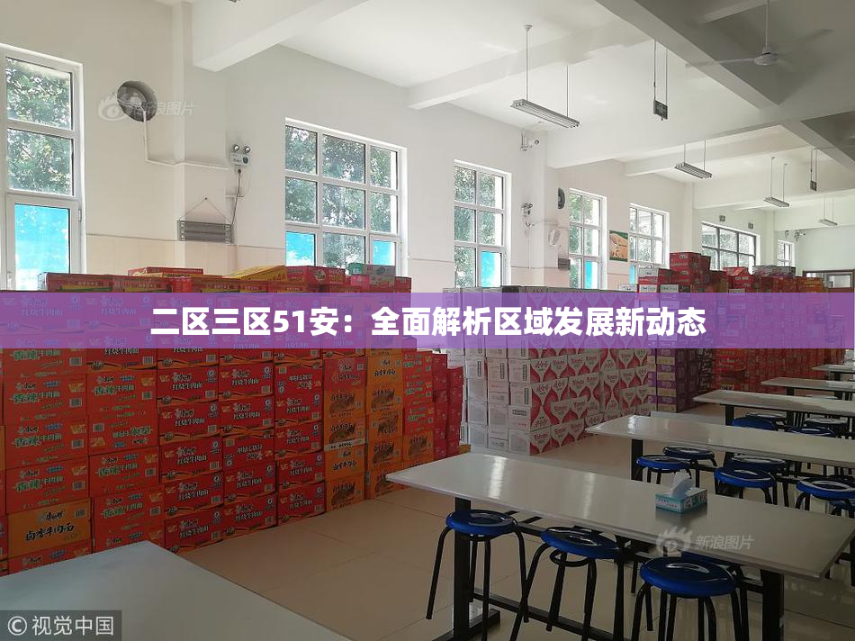 二区三区51安：全面解析区域发展新动态