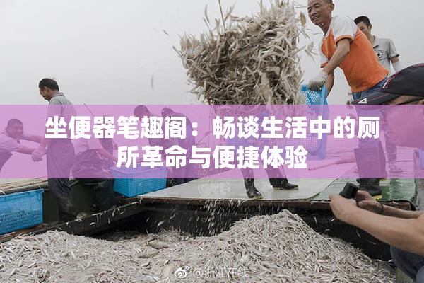 坐便器笔趣阁：畅谈生活中的厕所革命与便捷体验