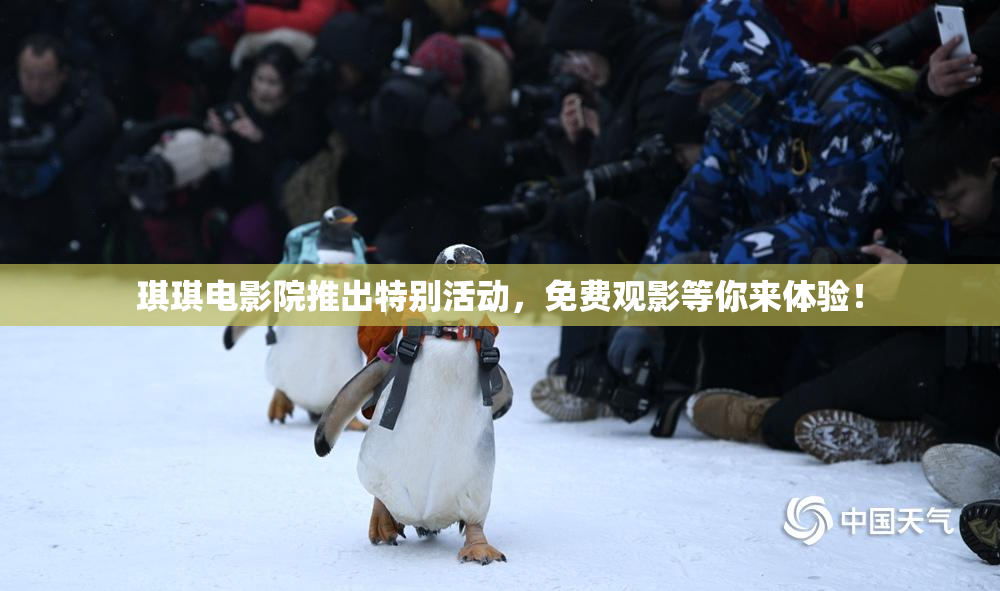 琪琪电影院推出特别活动，免费观影等你来体验！