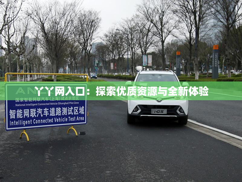 丫丫网入口：探索优质资源与全新体验
