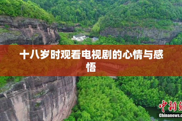 十八岁时观看电视剧的心情与感悟