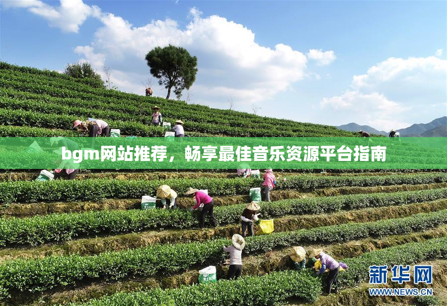 bgm网站推荐，畅享最佳音乐资源平台指南