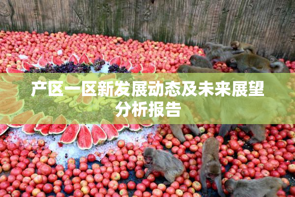 产区一区新发展动态及未来展望分析报告
