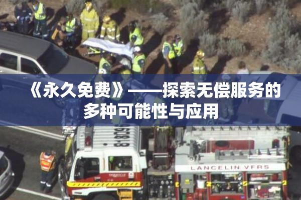 《永久免费》——探索无偿服务的多种可能性与应用