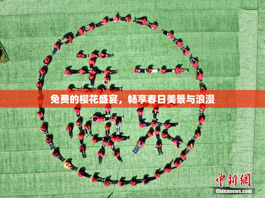 免费的樱花盛宴，畅享春日美景与浪漫
