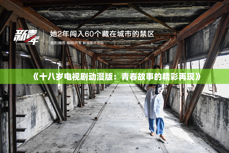 《十八岁电视剧动漫版：青春故事的精彩再现》