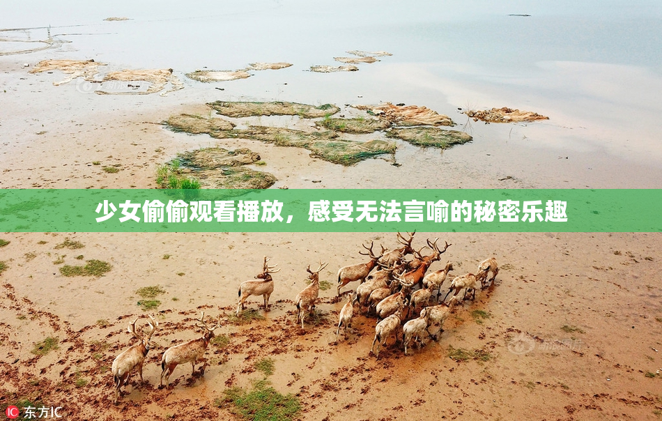 少女偷偷观看播放，感受无法言喻的秘密乐趣