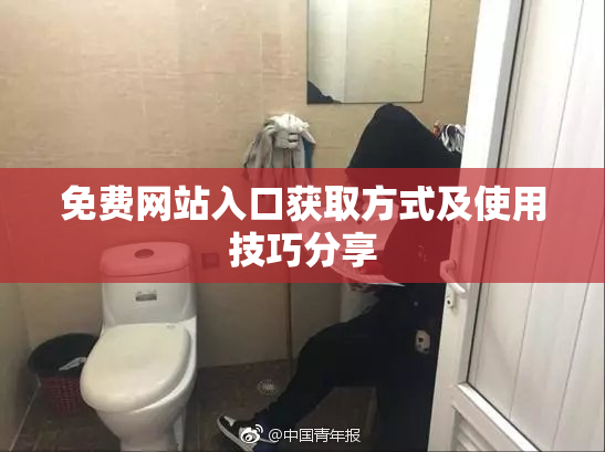 免费网站入口获取方式及使用技巧分享