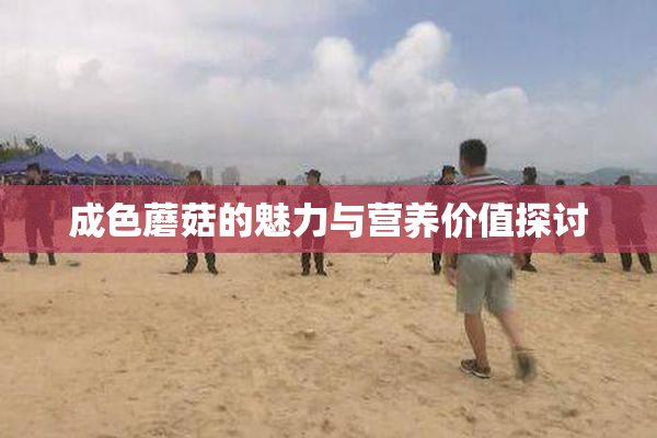 成色蘑菇的魅力与营养价值探讨