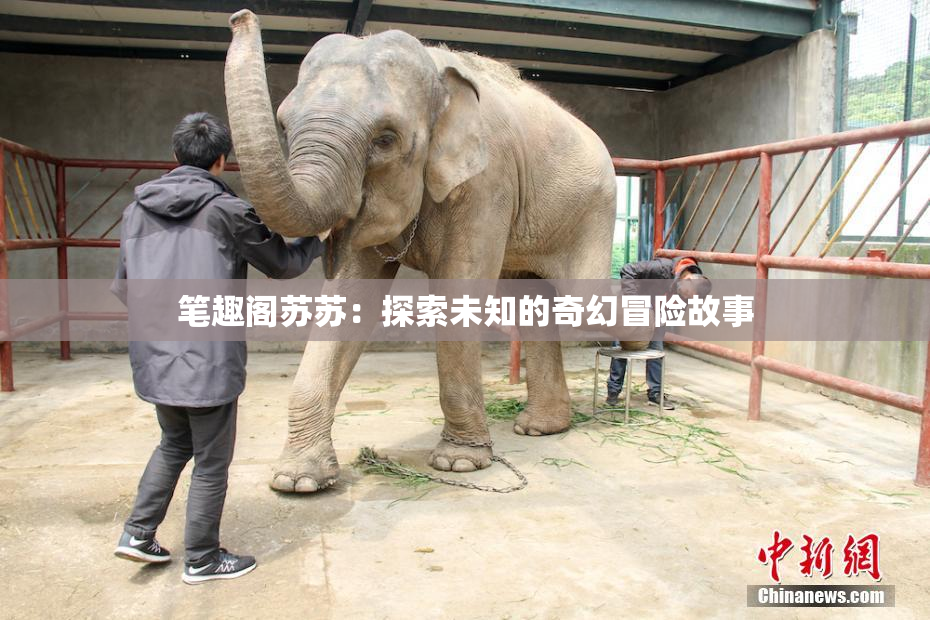 笔趣阁苏苏：探索未知的奇幻冒险故事