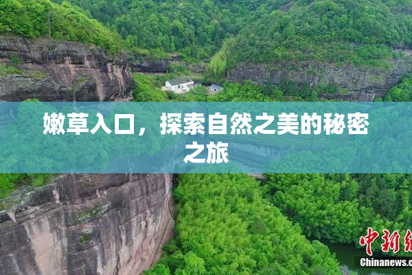嫩草入口，探索自然之美的秘密之旅