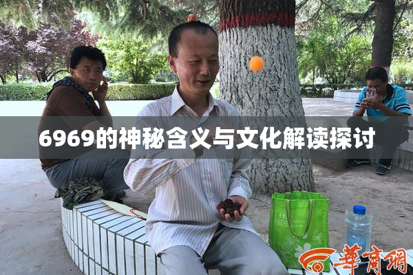 6969的神秘含义与文化解读探讨