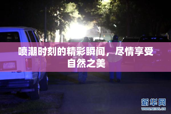 喷潮时刻的精彩瞬间，尽情享受自然之美