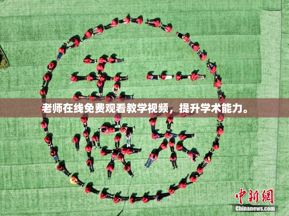老师在线免费观看教学视频，提升学术能力。