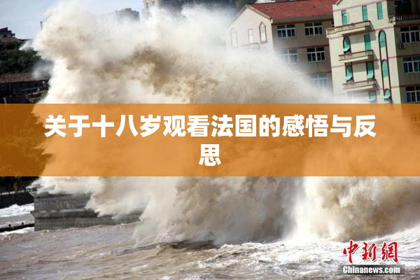 关于十八岁观看法国的感悟与反思