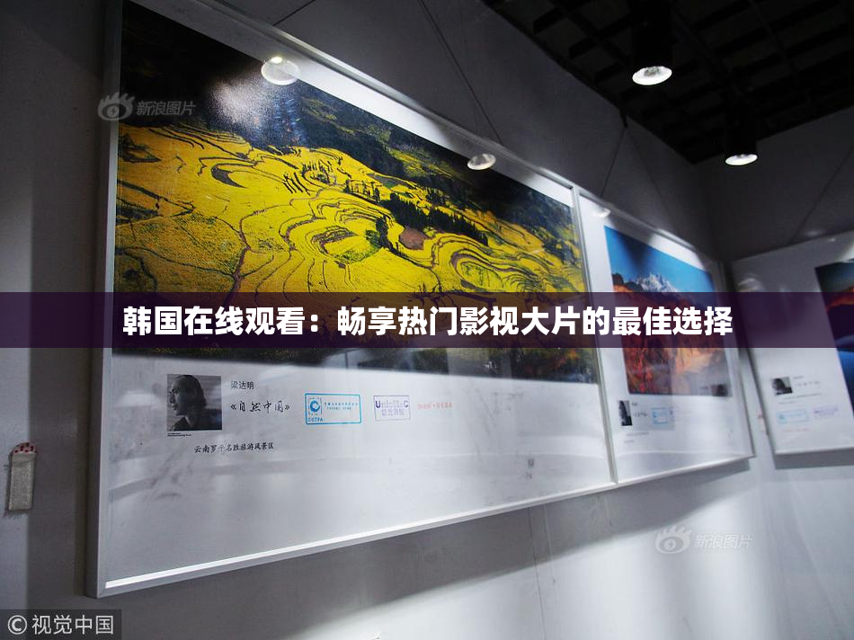 韩国在线观看：畅享热门影视大片的最佳选择