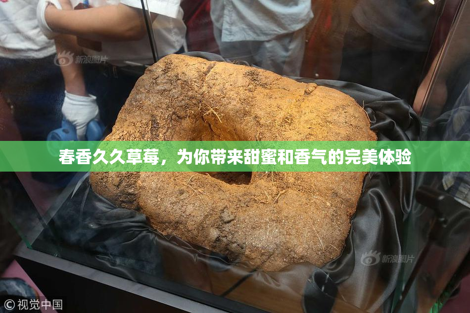春香久久草莓，为你带来甜蜜和香气的完美体验