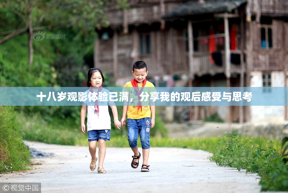 十八岁观影体验已满，分享我的观后感受与思考