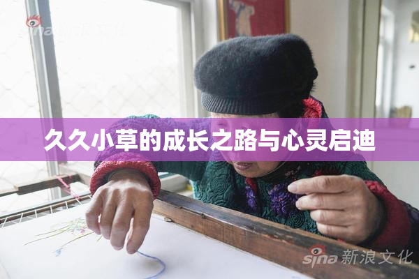 久久小草的成长之路与心灵启迪